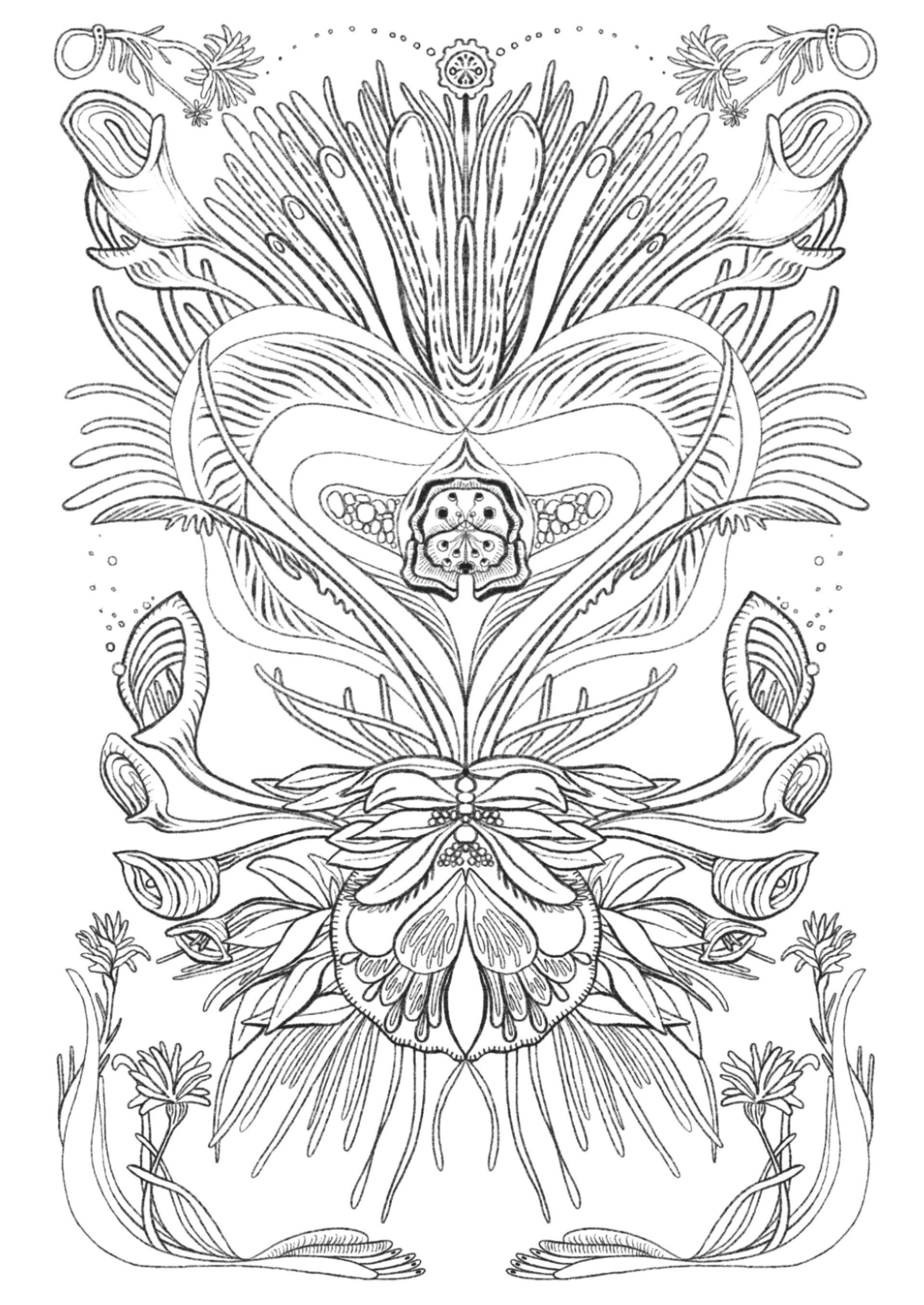 COLOURING Postcards// BOTANICAL BLISS - 4